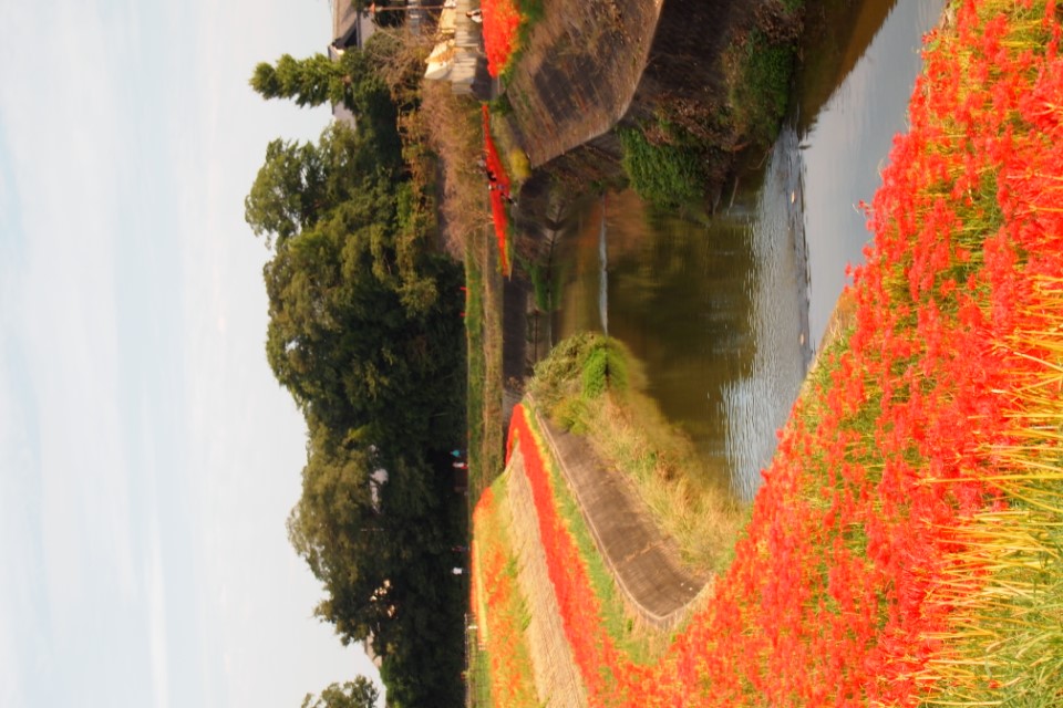 半田の画像