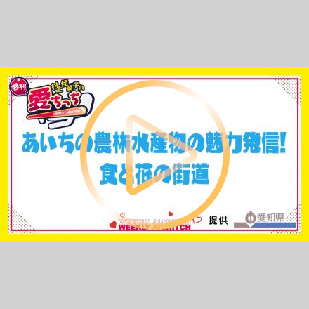 TVの画像