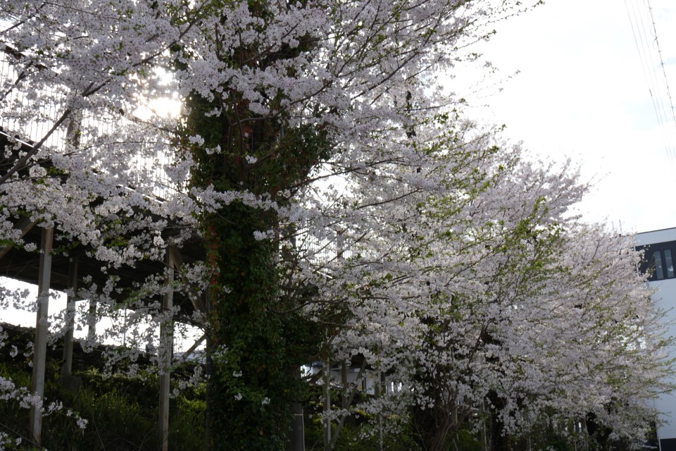 岡崎公園前駅の画像