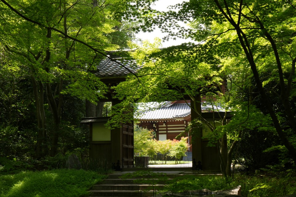 大森・金城学院前駅の画像