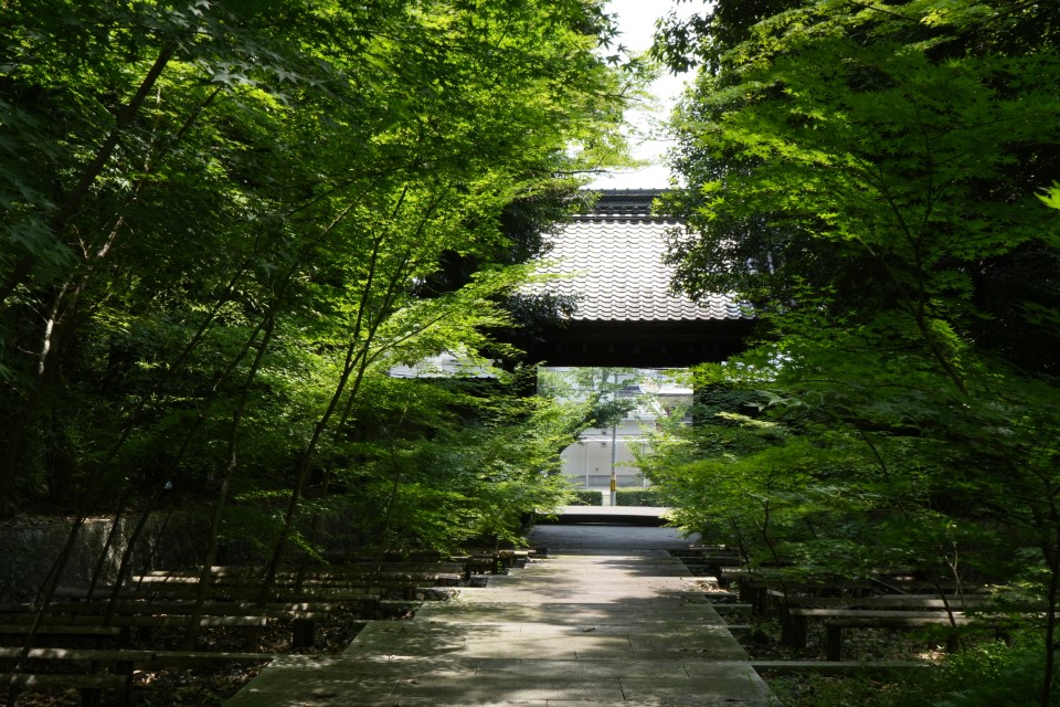 大森・金城学院前駅の画像